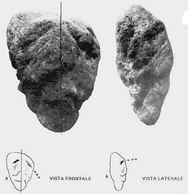 clikka per ingrandire l'immagine