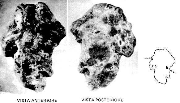 clikka per ingrandire l'immagine