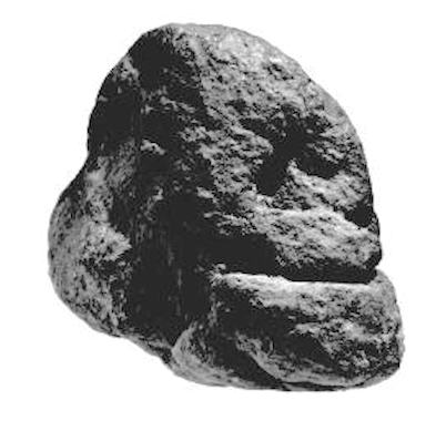 clikka per ingrandire l'immagine