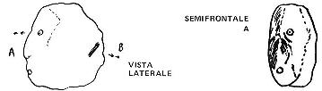 clikka per ingrandire l'immagine