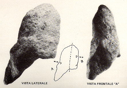 clikka per ingrandire l'immagine