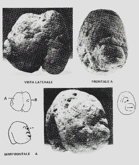 clikka per ingrandire l'immagine