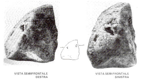 clikka per ingrandire l'immagine